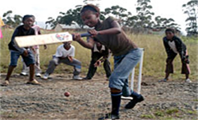 sports_cricket